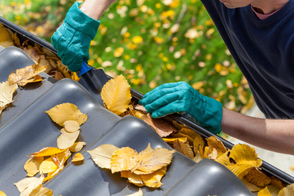 Leaf Gutter Guard Installation vs. Regular Gutter Cleaning