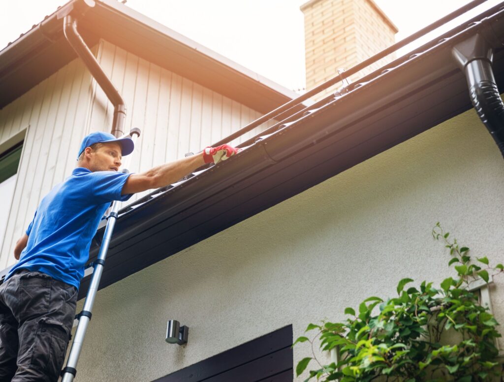 Gutter Inspection
