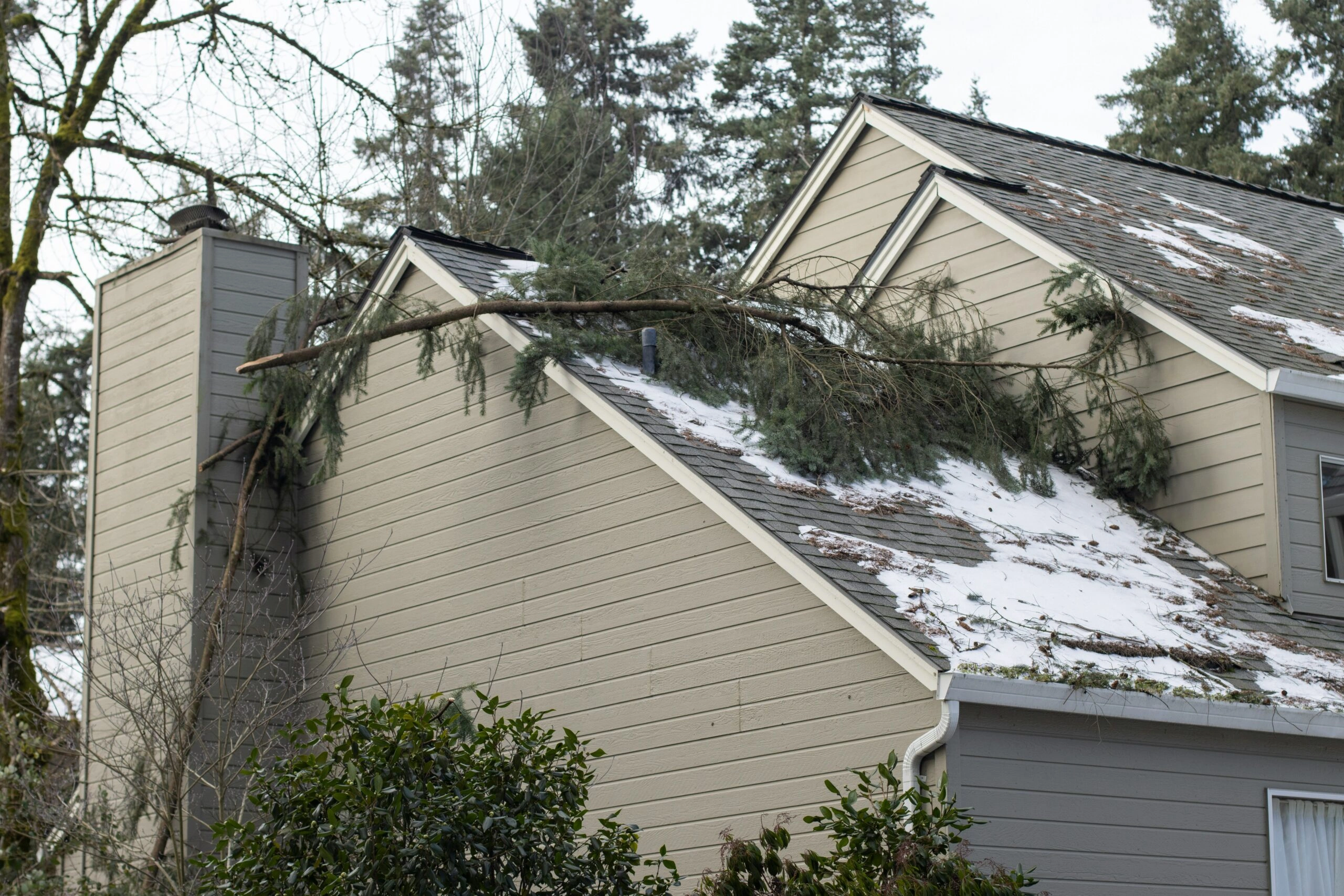 Check Your House for Hail Damage