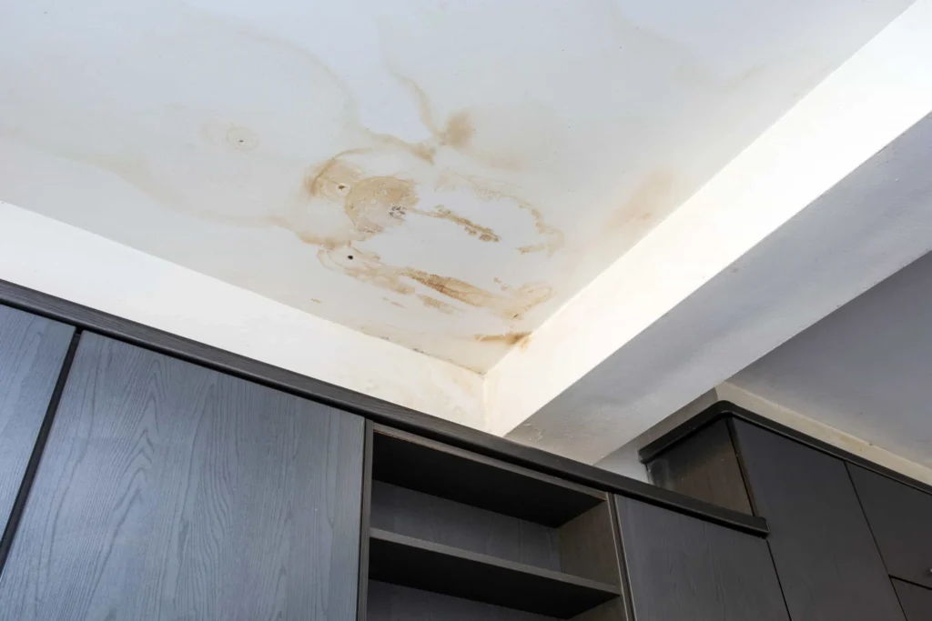 Commercial Flat Roof Leak Damage