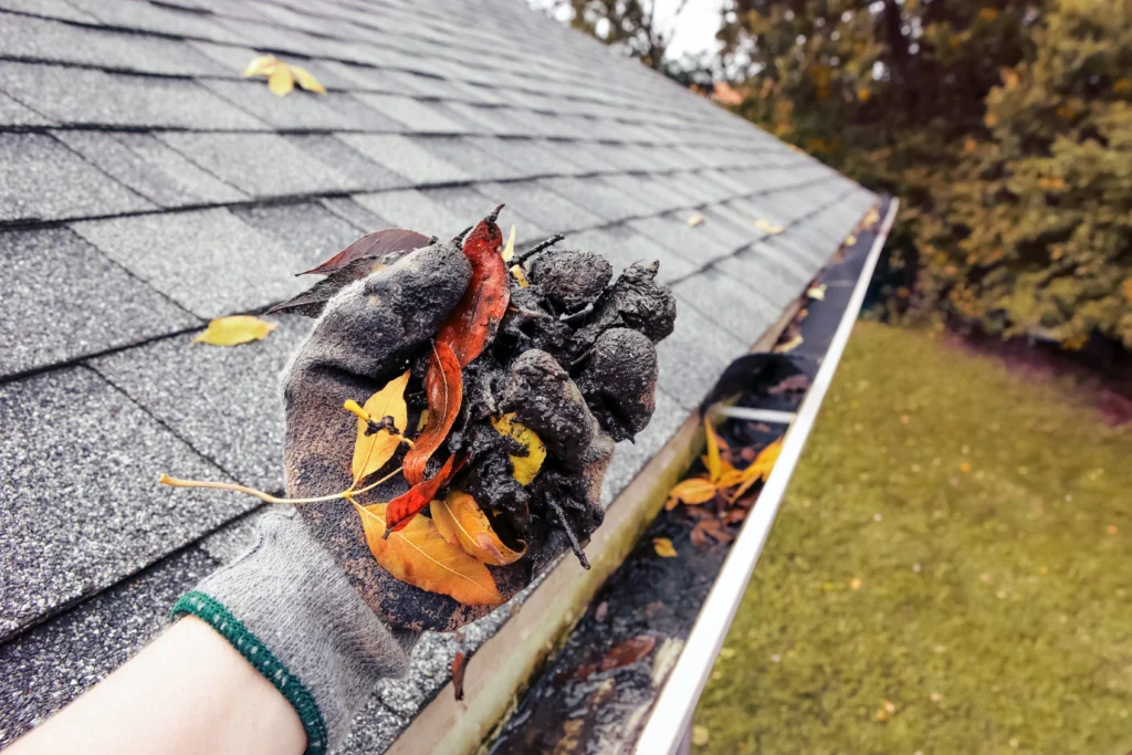 gutters cleaning