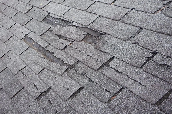 Close-up of curling and cracked asphalt shingles signaling roof wear