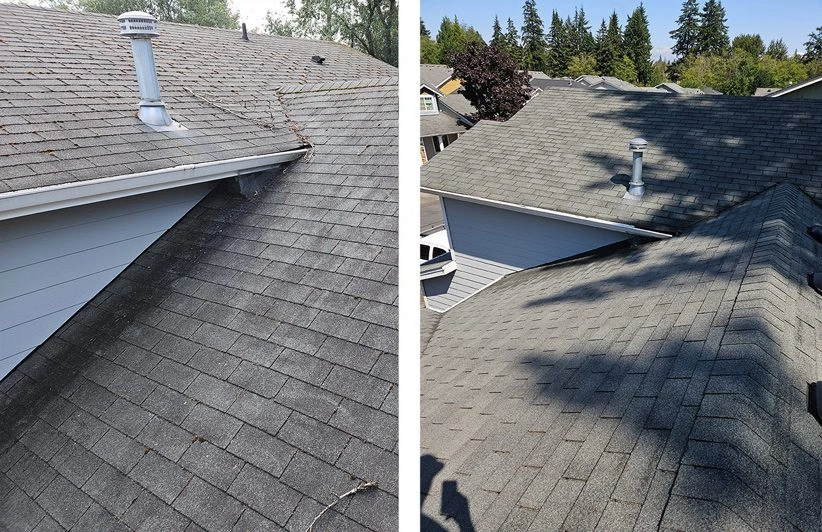 Comparison of roof replacement, repair, and as-is selling options.