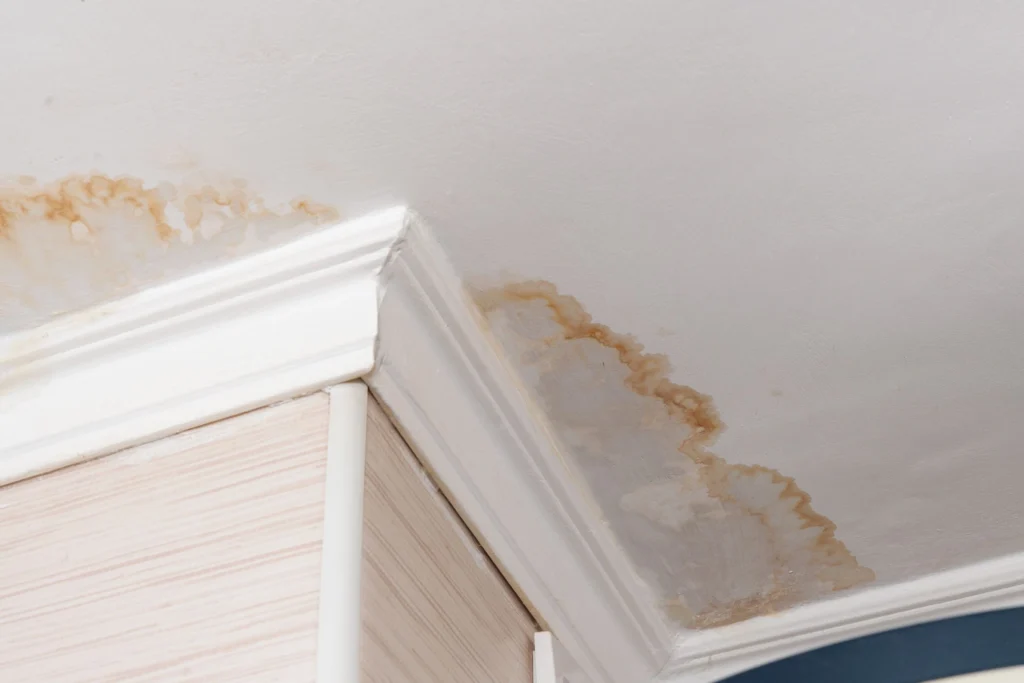 Progression of ceiling water stains over a 6-month ignored roof leak timeline