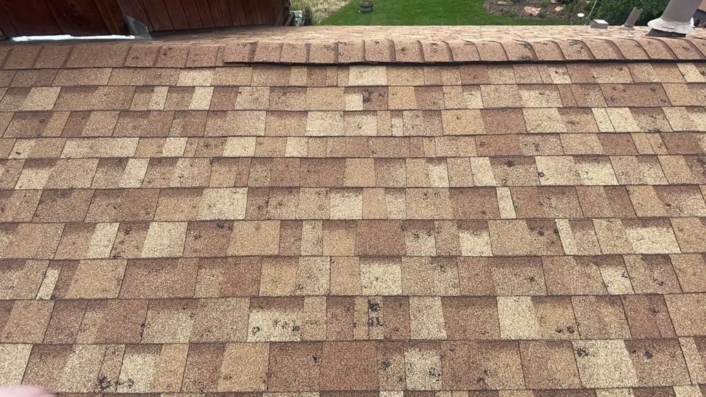 Hail-damaged asphalt shingle roof (2)