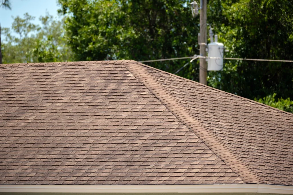 black-streaks-on-roof-nebraska
